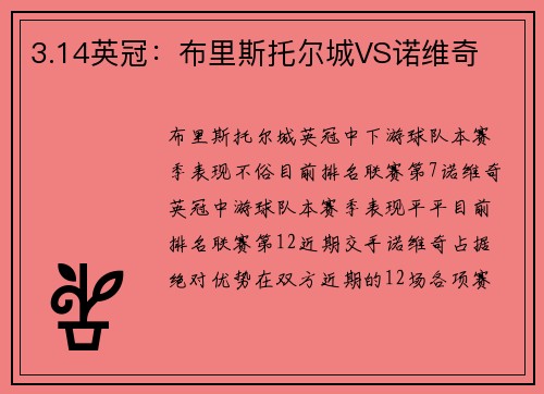 3.14英冠：布里斯托尔城VS诺维奇