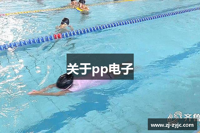 关于pp电子
