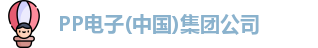 pp电子